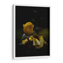 Juventud - Alex Cerón | Cuadro decorativo de Canvas Lab