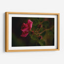 Bellas Hermanas - Alex Cerón | Cuadro decorativo de Canvas Lab