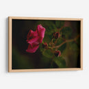 Bellas Hermanas - Alex Cerón | Cuadro decorativo de Canvas Lab