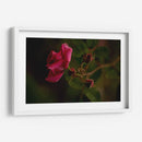 Bellas Hermanas - Alex Cerón | Cuadro decorativo de Canvas Lab