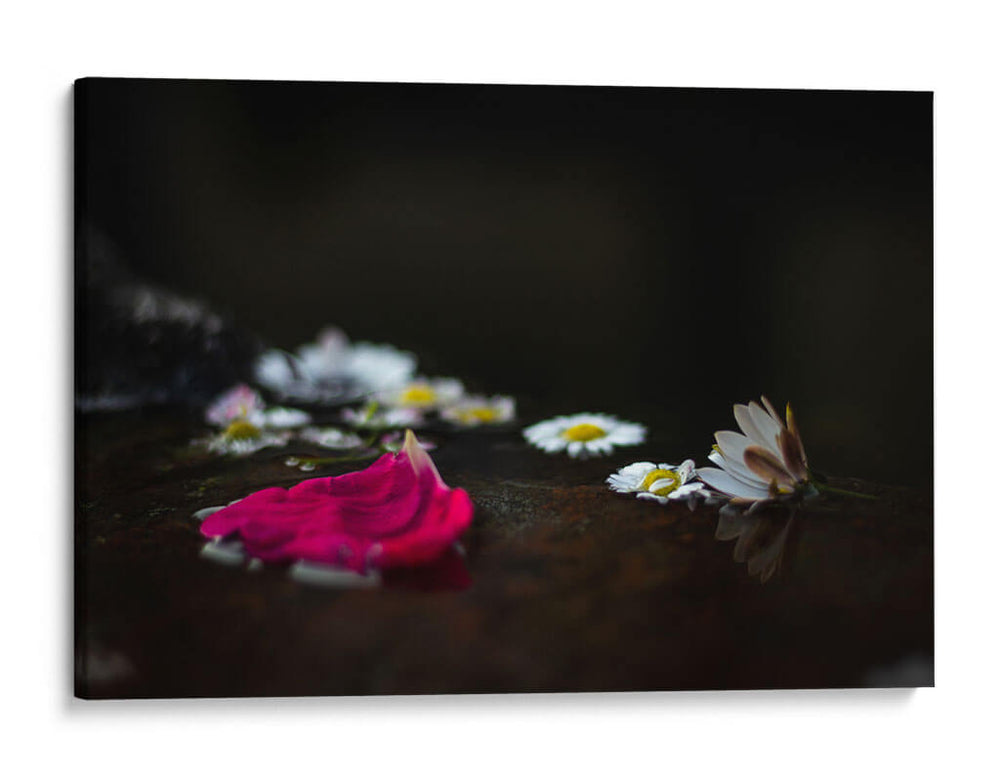 Caricias en Agua - Alex Cerón | Cuadro decorativo de Canvas Lab