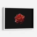 Alma Rosa - Alex Cerón | Cuadro decorativo de Canvas Lab