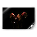 Luz y Sombras Rosas - Alex Cerón | Cuadro decorativo de Canvas Lab