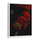 Renacimiento - Alex Cerón | Cuadro decorativo de Canvas Lab