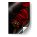 Renacimiento - Alex Cerón | Cuadro decorativo de Canvas Lab