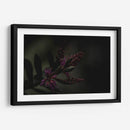 Lágrimas Moradas - Alex Cerón | Cuadro decorativo de Canvas Lab