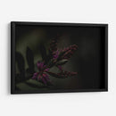 Lágrimas Moradas - Alex Cerón | Cuadro decorativo de Canvas Lab