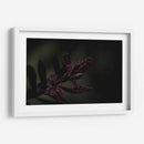 Lágrimas Moradas - Alex Cerón | Cuadro decorativo de Canvas Lab