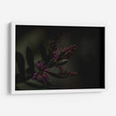 Lágrimas Moradas - Alex Cerón | Cuadro decorativo de Canvas Lab