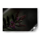 Lágrimas Moradas - Alex Cerón | Cuadro decorativo de Canvas Lab