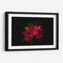 Flores al Amanecer - Alex Cerón | Cuadro decorativo de Canvas Lab