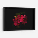 Flores al Amanecer - Alex Cerón | Cuadro decorativo de Canvas Lab