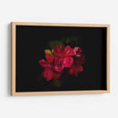 Flores al Amanecer - Alex Cerón | Cuadro decorativo de Canvas Lab