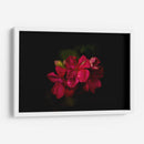 Flores al Amanecer - Alex Cerón | Cuadro decorativo de Canvas Lab