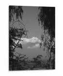 Popo - Hugo Segura | Cuadro decorativo de Canvas Lab