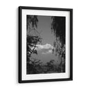 Popo - Hugo Segura | Cuadro decorativo de Canvas Lab