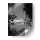 Popo - Hugo Segura | Cuadro decorativo de Canvas Lab