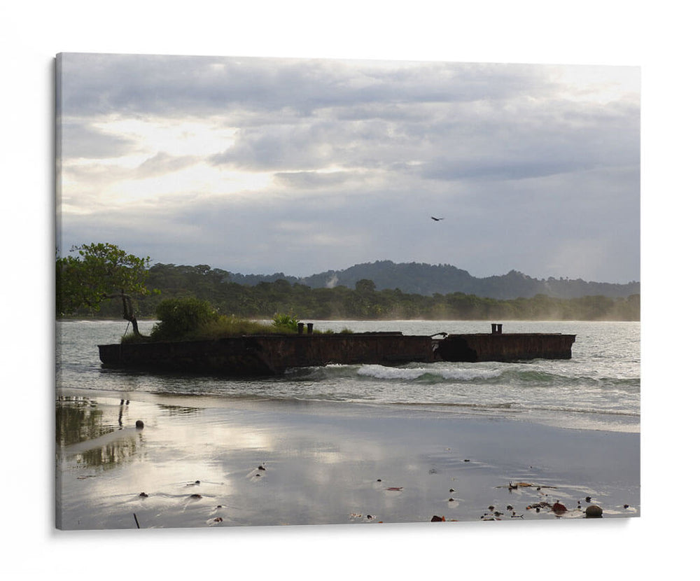 Paz - Hugo Segura | Cuadro decorativo de Canvas Lab
