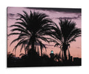 Palmeras - Hugo Segura | Cuadro decorativo de Canvas Lab