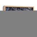 Ramas - Hugo Segura | Cuadro decorativo de Canvas Lab