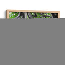 Monos - Hugo Segura | Cuadro decorativo de Canvas Lab