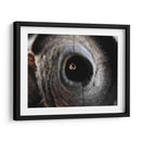 Miradas - Hugo Segura | Cuadro decorativo de Canvas Lab