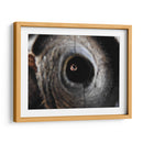 Miradas - Hugo Segura | Cuadro decorativo de Canvas Lab