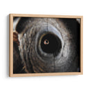 Miradas - Hugo Segura | Cuadro decorativo de Canvas Lab