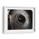 Miradas - Hugo Segura | Cuadro decorativo de Canvas Lab