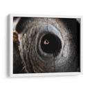 Miradas - Hugo Segura | Cuadro decorativo de Canvas Lab