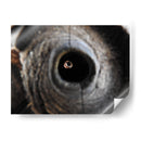 Miradas - Hugo Segura | Cuadro decorativo de Canvas Lab