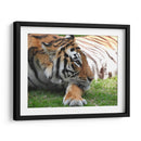 Mira cómo pasa las horas - Hugo Segura | Cuadro decorativo de Canvas Lab