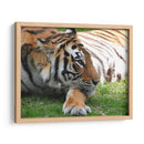 Mira cómo pasa las horas - Hugo Segura | Cuadro decorativo de Canvas Lab