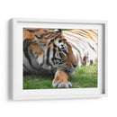 Mira cómo pasa las horas - Hugo Segura | Cuadro decorativo de Canvas Lab