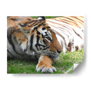 Mira cómo pasa las horas - Hugo Segura | Cuadro decorativo de Canvas Lab