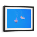 Medusas - Hugo Segura | Cuadro decorativo de Canvas Lab