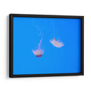 Medusas - Hugo Segura | Cuadro decorativo de Canvas Lab