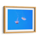 Medusas - Hugo Segura | Cuadro decorativo de Canvas Lab