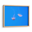 Medusas - Hugo Segura | Cuadro decorativo de Canvas Lab