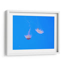 Medusas - Hugo Segura | Cuadro decorativo de Canvas Lab