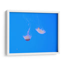 Medusas - Hugo Segura | Cuadro decorativo de Canvas Lab