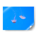 Medusas - Hugo Segura | Cuadro decorativo de Canvas Lab