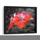 Flor en lluvia - Hugo Segura | Cuadro decorativo de Canvas Lab