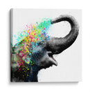 Elephant Color Shower Close up - Hue Art | Cuadro decorativo de Canvas Lab