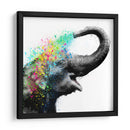 Elephant Color Shower Close up - Hue Art | Cuadro decorativo de Canvas Lab
