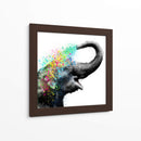 Elephant Color Shower Close up - Hue Art | Cuadro decorativo de Canvas Lab