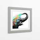 Elephant Color Shower Close up - Hue Art | Cuadro decorativo de Canvas Lab