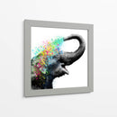 Elephant Color Shower Close up - Hue Art | Cuadro decorativo de Canvas Lab
