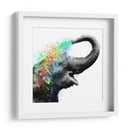 Elephant Color Shower Close up - Hue Art | Cuadro decorativo de Canvas Lab