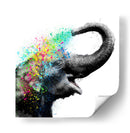 Elephant Color Shower Close up - Hue Art | Cuadro decorativo de Canvas Lab